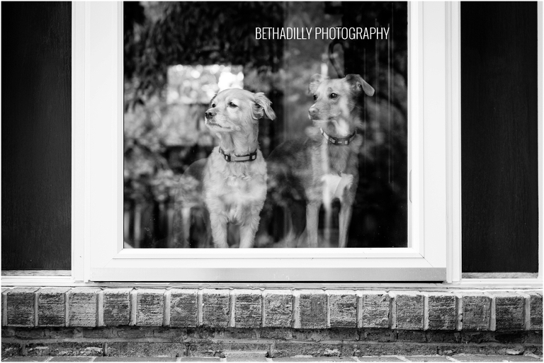 8 Creative Photography Compositions You Should Be Using | bethadilly photography