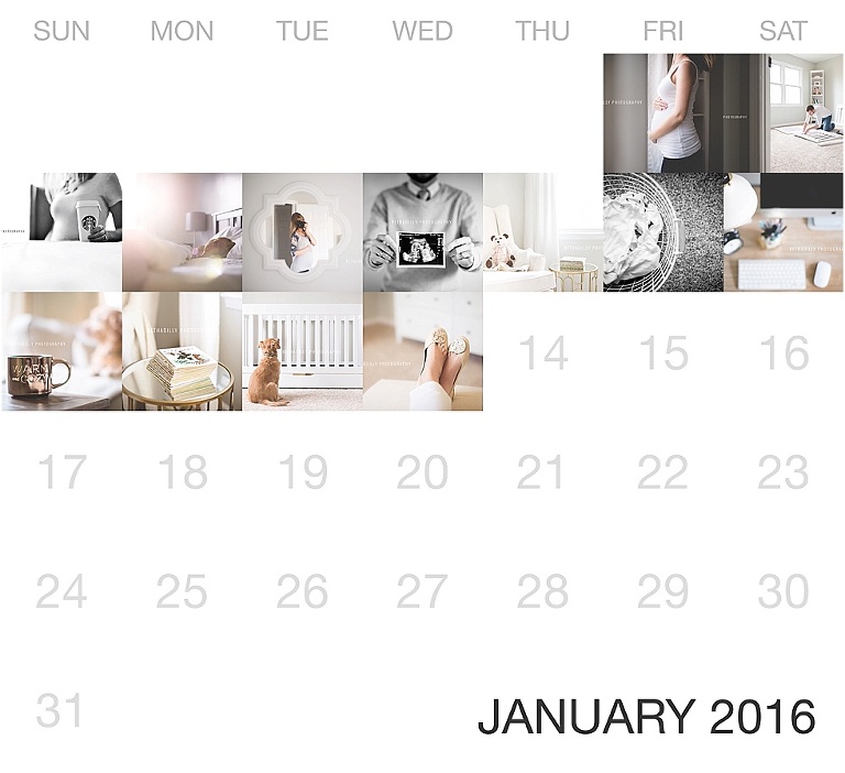 8 Tips For Completing A 365 Photography Project | bethadilly photography