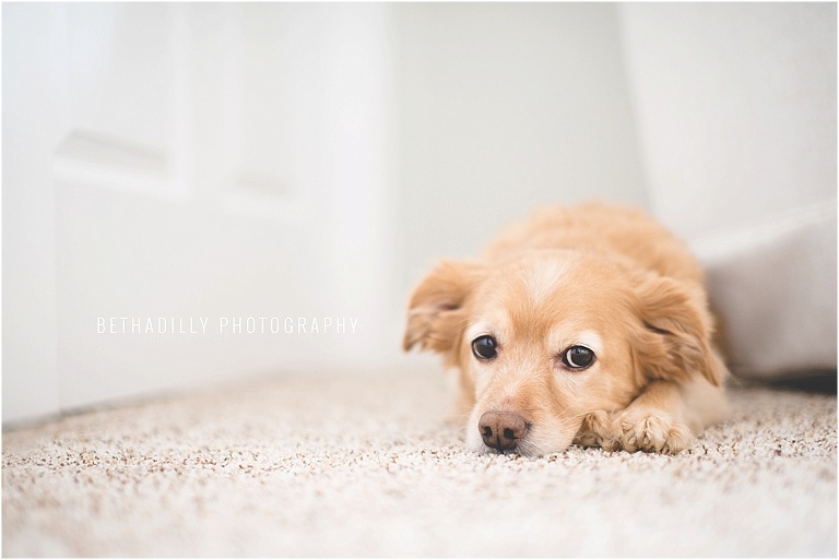 Rule of Thirds: How A Simple Composition Can Create A Stronger Image | Bethadilly Photography 