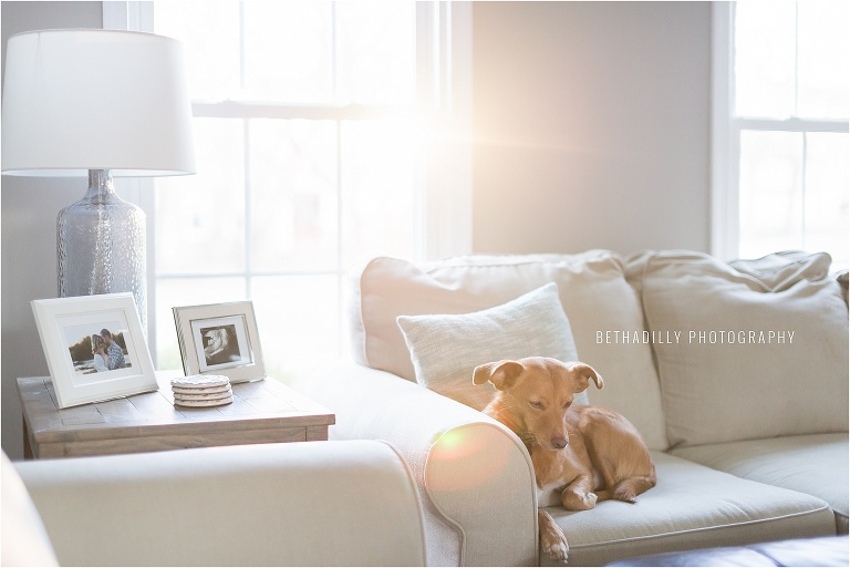 10 Ways To Photograph Your Everyday | Bethadilly Photography