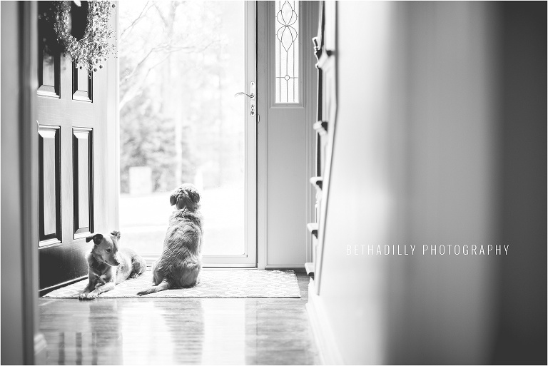 10 Ways To Photograph Your Everyday | Bethadilly Photography