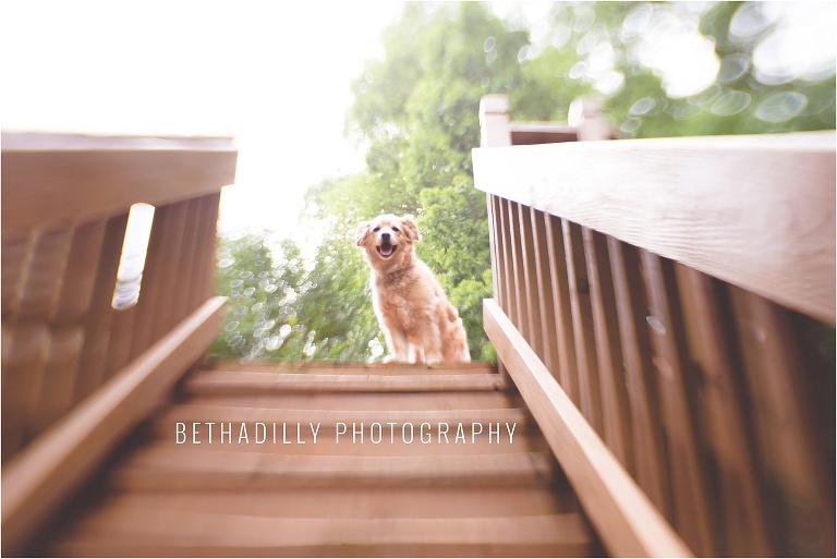 Leading Lines: 8 Natural Places You Can Find and Incorporate Leading Lines | Bethadilly Photography