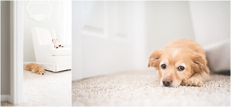 5 Tips For Choosing Good Photos To Edit | bethadilly photography