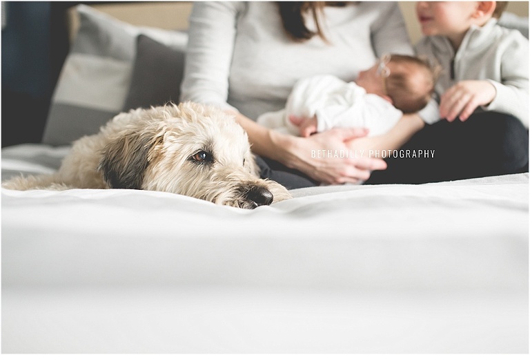 8 Tips for Photographing Newborns With Siblings | bethadilly photography