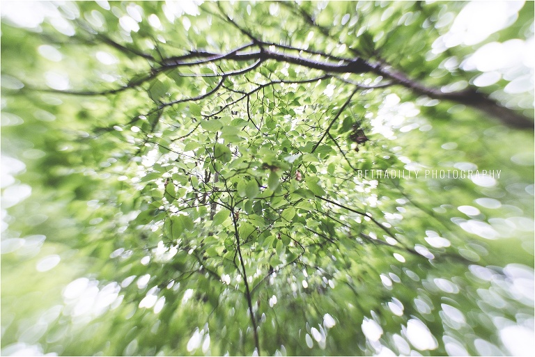 4 Easy Ways To Create Depth In Your Photos | Bethadilly Photography