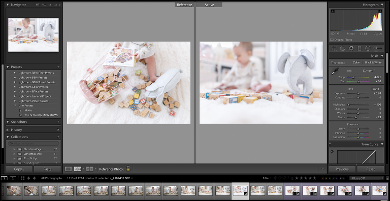 Why You Should Be Using The Reference View In Lightroom | Bethadilly Photography