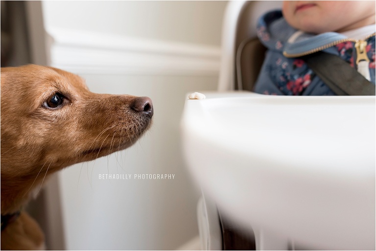 The Best Lens For Everyday Photography | Bethadilly Photography