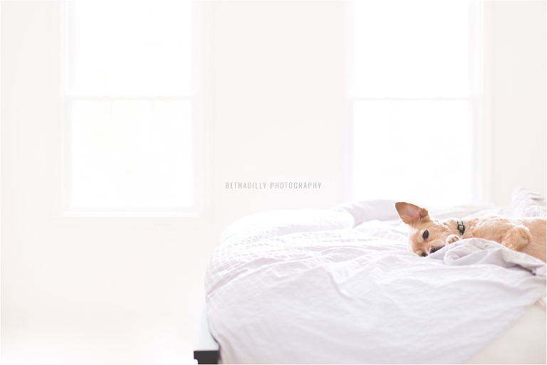 Creating Balanced Photos : 5 Secrets To Creating Visual Balance | Bethadilly Photography