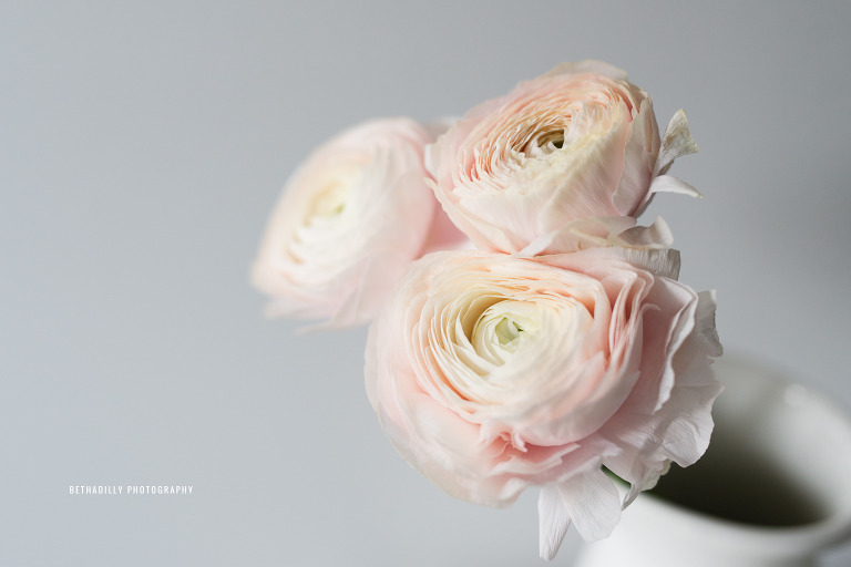 Photographing With Perspective: Using Angles To Create Stronger Images | Bethadilly Photography