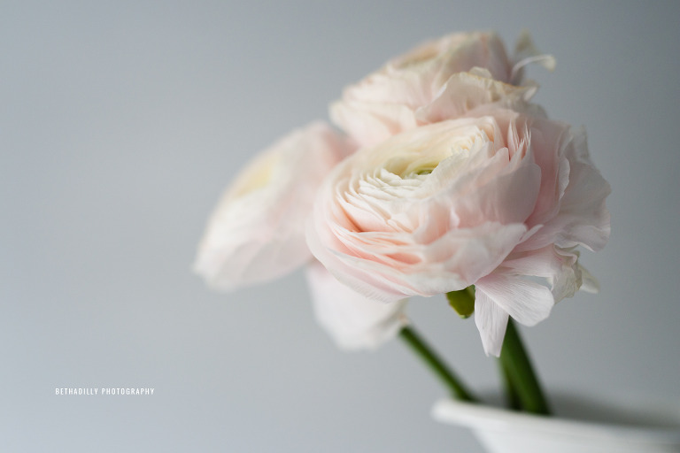 Photographing With Perspective: Using Angles To Create Stronger Images | Bethadilly Photography