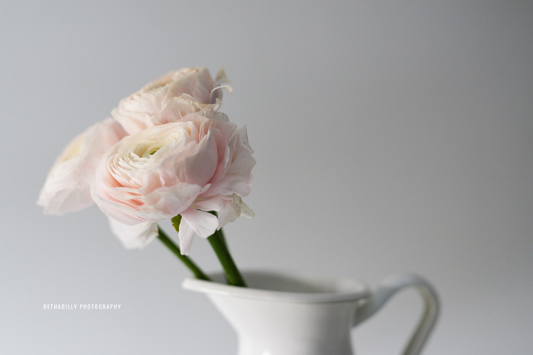 Photographing With Perspective: Using Angles To Create Stronger Images | Bethadilly Photography