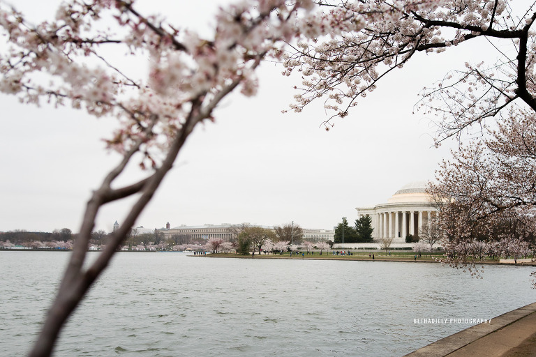 Photographing At The Cherry Blossom Festival in Washington DC | Bethadilly Photography
