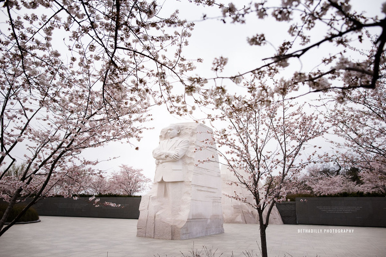 Photographing At The Cherry Blossom Festival in Washington DC | Bethadilly Photography