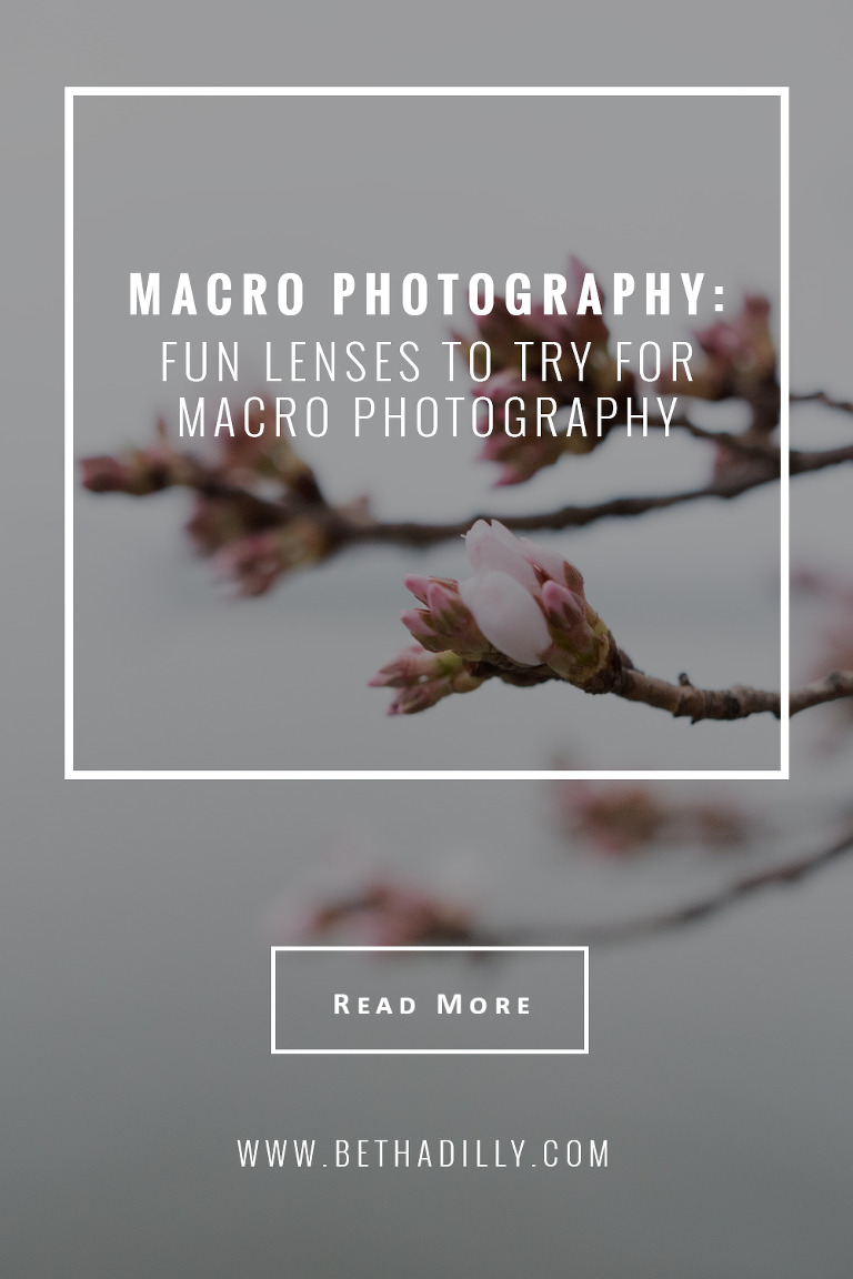 Macro Photography : Fun Lenses To Try For Macro Photography | Bethadilly Photography