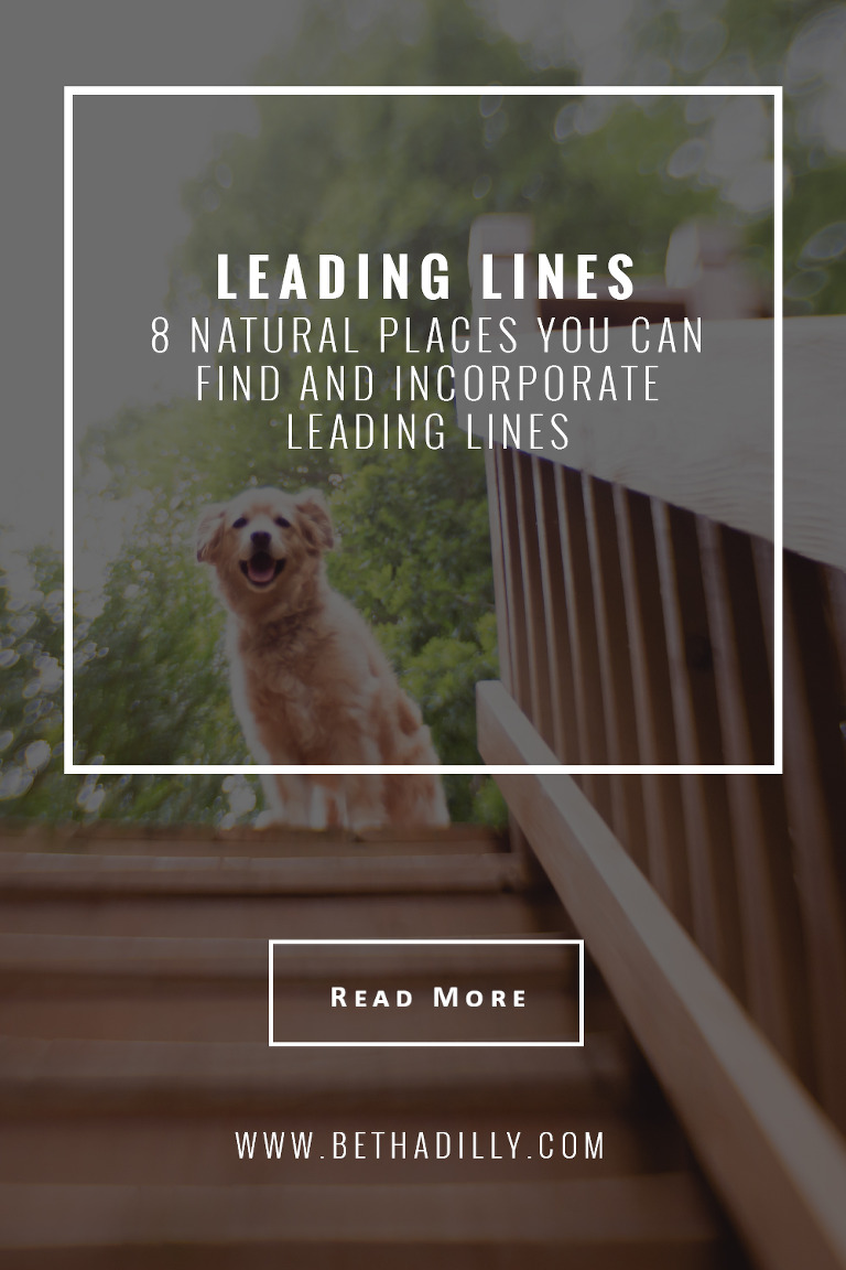 Leading Lines: 8 Natural Places You Can Find and Incorporate Leading Lines | Bethadilly Photography