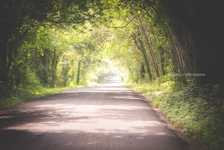 Leading Lines: 8 Natural Places You Can Find and Incorporate Leading Lines | Bethadilly Photography