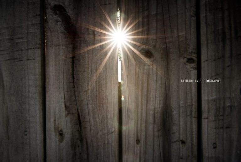 Photographing in Golden Hour: The Power of Waiting For The Right Light | Bethadilly Photography