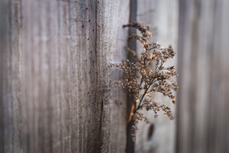 Photographing in Golden Hour: The Power of Waiting For The Right Light | Bethadilly Photography