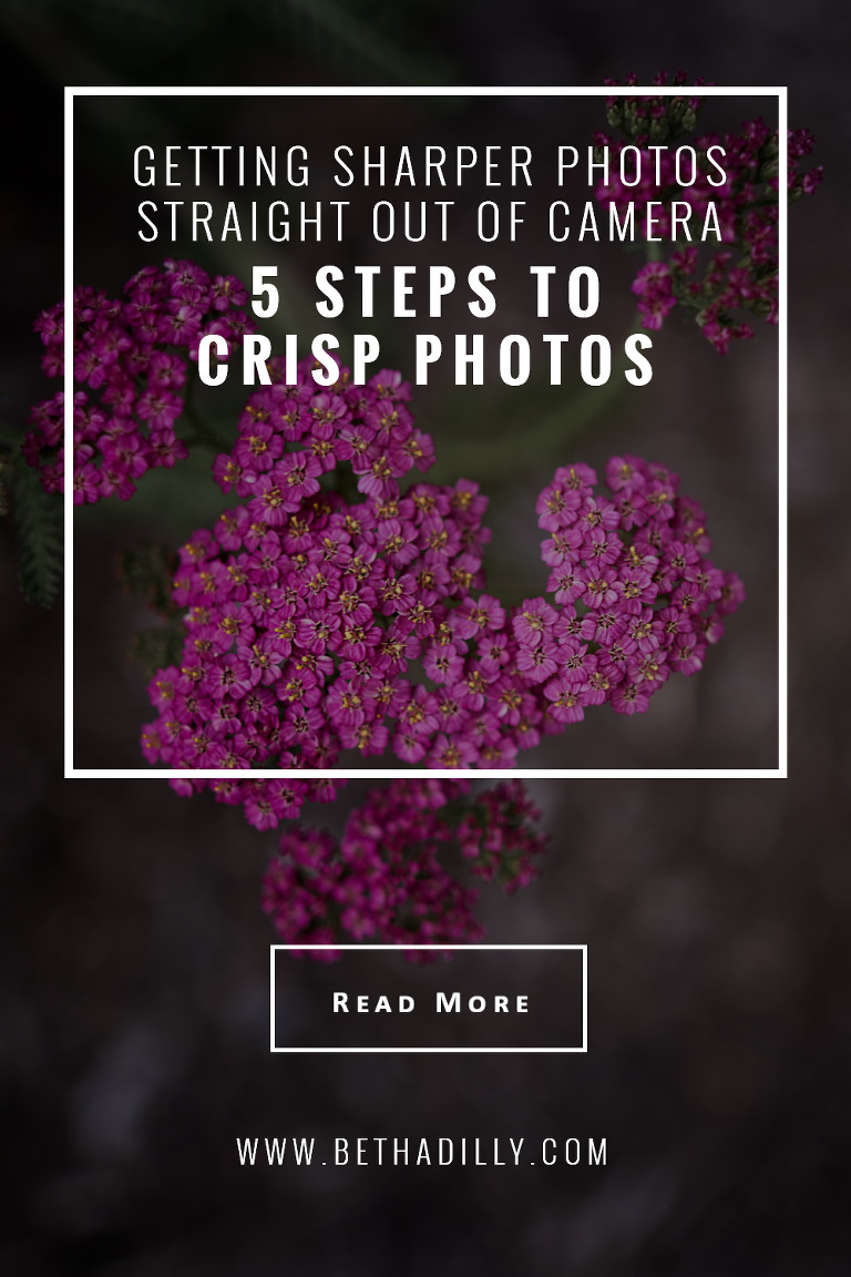 Getting Sharper Photos Straight Out Of Camera: 5 Steps To Crisp Photos | Bethadilly Photography 